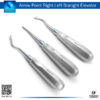 "Floher Root Elevator, Arrow-Point-Right-Left-Straight – Dental Extraction Tool"