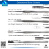 Bone Chisels Osteotomes Set with Slight Small Tips - Precision Instruments for Bone Shaping and Elevation