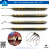 "Periotomes Elevators Set of 4 with Golden Handles – Premium Dental Instruments for Controlled Tooth Extraction"