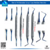 "Set of 4 Elevators with Blue Tips and Hollow Handles – Precision Instruments for Tooth Extractions"