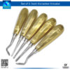 "Set of 5 Tooth Extraction Elevators (Floher, Bein, Cryer) for Complex Extractions"