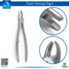 Tooth Forceps Fig 1 – Precision Tool for Upper Anterior Tooth Extractions