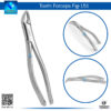 Tooth Forceps Fig 151 – Precision Tool for Upper Incisor and Canine Extractions