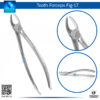 Tooth Forceps Fig 17 – Precision Tool for Molar Tooth Extraction