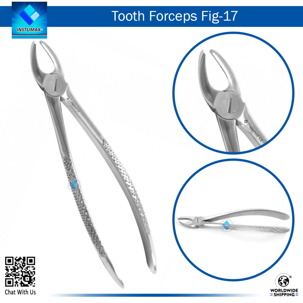 Tooth Forceps Fig 17 Dental – Ideal Tool for Molar Extraction with Precision and Control Tooth Forceps Fig 17 – Precision Tool for Molar Tooth Extraction