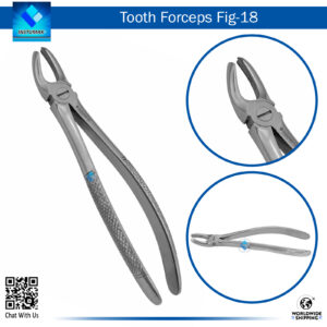 Tooth Forceps Fig 18 – Precision Tool for Anterior Teeth Extraction
