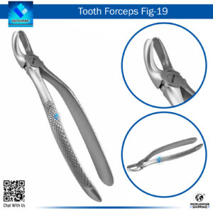 Tooth Forceps Fig 19 – Precision Tool for Upper Premolar Extraction