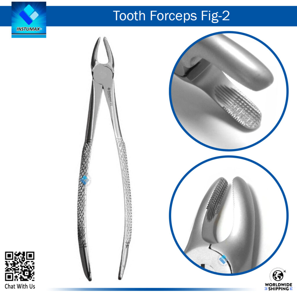 Tooth Forceps Fig 2 – Ideal for Upper Incisor and Canine Extractions Tooth Forceps Fig 2 – Precision Tool for Upper Anterior Tooth Extractions