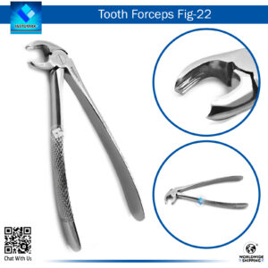 Tooth Forceps Fig 22 – Precision Tool for Lower Molar Extraction