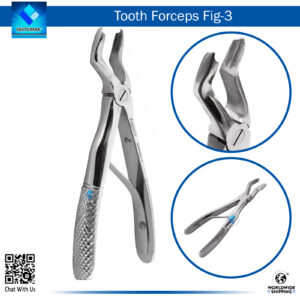 Tooth Forceps Fig 3 – Precision Tool for Upper Incisor and Canine Extractions