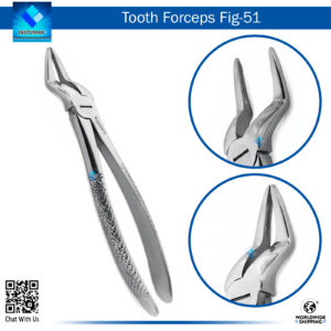 Tooth Forceps Fig 51 – Precision Tool for Upper Molar Extraction