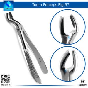 Tooth Forceps Fig 67 – Designed for Upper Molar and Wisdom Teeth Extraction