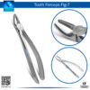 Tooth Forceps Fig 7 – Robust Tool for Upper Molar Extractions