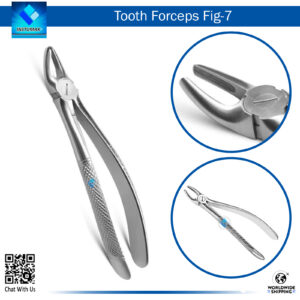 Tooth Forceps Fig 7 – Robust Tool for Upper Molar Extractions
