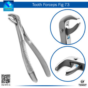 "Tooth Forceps Fig 73 – Specialized Dental Instruments for Lower Molar Extraction"