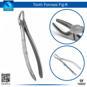 Tooth Forceps Fig. 8 for Dental Extractions"